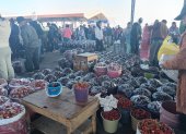 TUNGURAHUA. FRUTAS COMO LA FRESA Y MORA CON LOS SOLES SE MADURAN ANTES DE LO PREVISTO Y NO SE PUEDE GUARDAR PORQUE SE DAÑAN. AG-EXTERNO