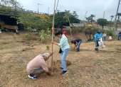 Los ciudadanos Javier Hungría y Mirna Yánez sembraron un árbol en el intercambiador de la autopista Narcisa de Jesús y la avenida Francisco de Orellana, en el norte de Guayaquil.