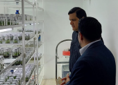 Visita del director ejecutivo de AEBE, José A. Hidalgo, al laboratorio de la ESPOL, donde se realizan evaluaciones de mutantes para la selección de plantas con nuevas características y resistencia al FOC R4T.