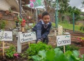 Iniciativa. Estudiantes y padres de familia participan en los huertos.
