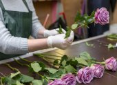 Exportación de flores ecuatorianas por San Valentín desde el Aeropuerto Internacional Mariscal Sucre de Quito.