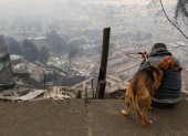 Un hombre observa junto a su perro casas afectadas tras incendios forestales este domingo, en la comuna de Penco, Concepción (Chile).