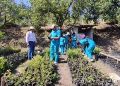 Proyecto. Estudiantes del Instituto Tecnológico Pelileo cultivan sandía y melón en fincas prestadas de Patate.