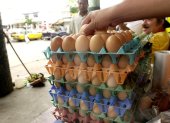 Gallinas. Desde octubre a diciembre ha habido una sobreoferta de huevos, lo que redujo el precio del producto.