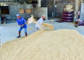 El arroz es uno de los productos afectados por los aranceles impuestos por Colombia.