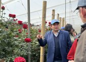 Expoflores proyecta ventas de hasta $ 276 millones