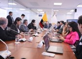 Delegados ministeriales expusieron observaciones sobre reproducción asistida en la Comisión de Salud.