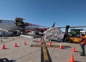 Avianca proyecta mover 19.000 toneladas de flores ecuatorianas y colombianas.