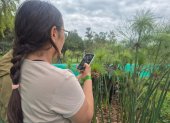 Con una aplicación se puede documentar la flora y fauna de los Hábitats Ecológicos Urbanos en el Parque Bicentenario.