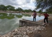 Las lagunas de oxidación ubicadas detrás del barrio Campo Alegre no han recibido mantenimiento, según los habitantes.