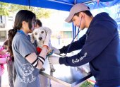 Promotores de bienestar animal recorren barrios de Quito para esterilizar y educar.