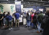 Vista del stand de "Café de Quito" que participa por primera vez en Coffee Fest Madrid 2026.