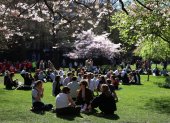 Varias personas se sientan bajo los cerezos en flor en St James's Park, en Londres, Gran Bretaña, el 18 de marzo de 2026.