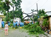En la etapa 11 de la ciudadela La Alborada, en el norte de Guayaquil, un árbol se cayó y provocó afectaciones en una vivienda y dos vehículos.