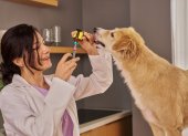 La medicina homeopática aplicada a animales continúa generando debate dentro del campo veterinario.