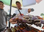 Los comerciantes pueden volver a expender cangrejos en Ecuador.