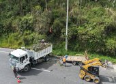 Alrededor de 40 árboles serán retirados en la avenida Simón Bolívar tras presentar deterioro estructural y riesgo de caída