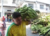 Un trabajador lleva un racimo de plátano para un depósito ubicado en el suroeste de Guayaquil.
