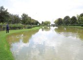 El parque Bicentenario de Quito cuenta con un humedal urbano en donde están los peces.