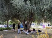 Migrantes argelinos descansan a la sombra de un árbol en un parque de la Estación Marítima de Palma de Mallorca, el 24 de agosto de 2025.