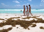 Turistas caminan en una playa impactada por el sargazo este lunes en el balneario de Cancún en Quintana Roo (México).
