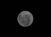 Imagen que muestra una fotografía de la de la cara oculta de la Luna captada por la tripulación de la misión Artemis II.