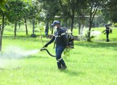 Brigadas municipales han intensificado la fumigación en zonas vulnerables. Pese a ellos la ciudadanía asegura que los vectores afectan a barrios enteros. Necesitan más acciones, alegan.