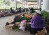 EL MERCADO ES ATENDIDO DIRECTAMENTE DE LOS PRODUCTORES DE JUAN BENIGNO VELA.
AG-EXTERNO
