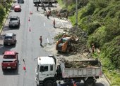 A finales de enero se retiró árboles en riesgo de caer en la av. Simón Bolívar, en el sector El Ciclista.