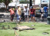 Ambiente en el Parque Seminario, o también conocido como 'de las iguanas'.