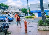 El árbol se cayó y arrastró los cables que estaban conectados a un poste, que se desprendió de su base.