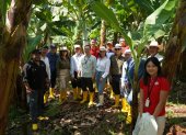 Autoridades y empresarios de China visitaron una hacienda de banano en Ecuador.