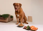 Para que la alimentación sea completa, a más de elegir ingredientes frescos, también es clave equilibrar los macronutrientes.