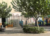 Trabajadores municipales podaron a la enredadera de flores lila.