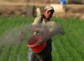 Logística. La interrupción del comercio y el traslado de insumos amenaza cadenas agrícolas claves.