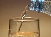 El agua potable para Bahía de Caráquez.