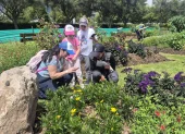 La iniciativa que busca recuperar la biodiversidad dentro de la ciudad.