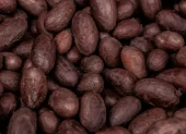 El productor de Milagro ha representado al Ecuador en encuentros internacionales sobre cacao.