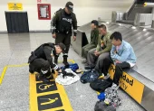 Tres tailandeses detenidos el 20 de mayo en Guayaquil por tráfico de iguanas