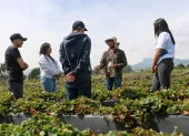 Programa del Minisiterio de Agricultura para que más jóvenes se interesen en trabajar en el campo.