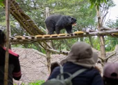 Zoológico de Quito lanza campaña de apadrinamiento para animales rescatados.
