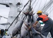Al ser un sector exportador, la pesca no puede trasladar el incremento a sus compradores internacionales.