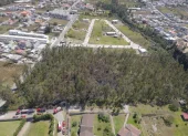 Se registró una quema de desechos en el sector de Llano Chico, norte de Quito.