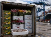 El USTR fijó un arancel adicional de 10% a Ecuador por no aplicar con eficacia su norma contra el trabajo forzado en cadenas de exportación.