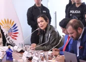 La exministra Inés Manzano, convocada por la Comisión de Desarrollo Económico de la Asamblea. Febrero de 2026.