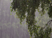 Referencial.La intensa lluvia marca la temporada invernal en Ecuador, mientras los municipios afinan planes de mitigación ante El Niño 2026.