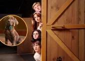 “Scooby-Doo: Origins”, la serie live action que busca dar un giro más profundo y aterrador a la historia.