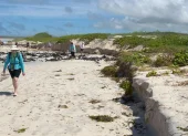 Los turistas que visiten Galápagos deberán seguir recomendaciones para evitar incidentes debido a las condiciones del mar.