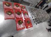 Intento de exportación ilegal de 658 pepinos de mar de la especie Isostichopus Fuscus, en el aeropuerto de Guayaquil.