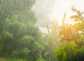Referencial. La lluvia intensa cubre zonas de vegetación en Ecuador, mientras el pronóstico advierte precipitaciones este 12 de junio.